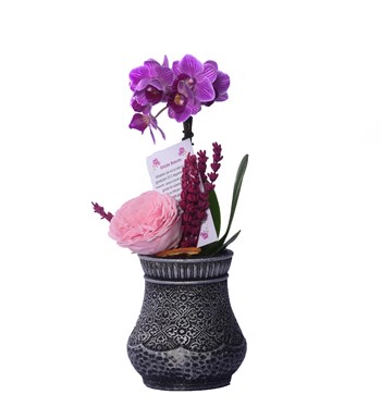 Vase in Ottoman Serisi Mini Mor Orkide ve Katmerli Pembe Solmayan Gül 