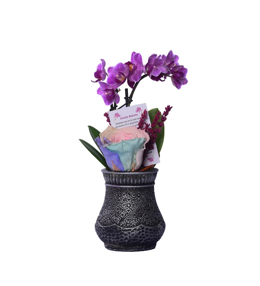 Vase in Ottoman Serisi Mini Mor Orkide ve Soft Rainbow Solmayan Gül 