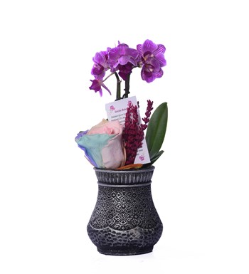 Vase in Ottoman Serisi Mini Mor Orkide ve Soft Rainbow Solmayan Gül 