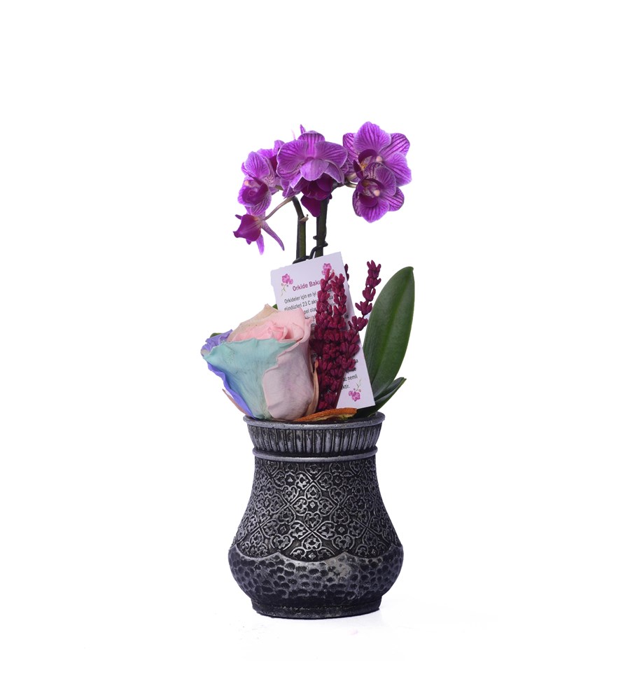 Vase in Ottoman Serisi Mini Mor Orkide ve Soft Rainbow Solmayan Gül 