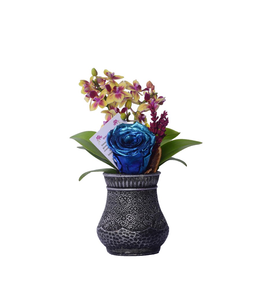 Vase in Ottoman Serisi Mini Sarı Orkide ve Metalik Mavi Solmayan Gül