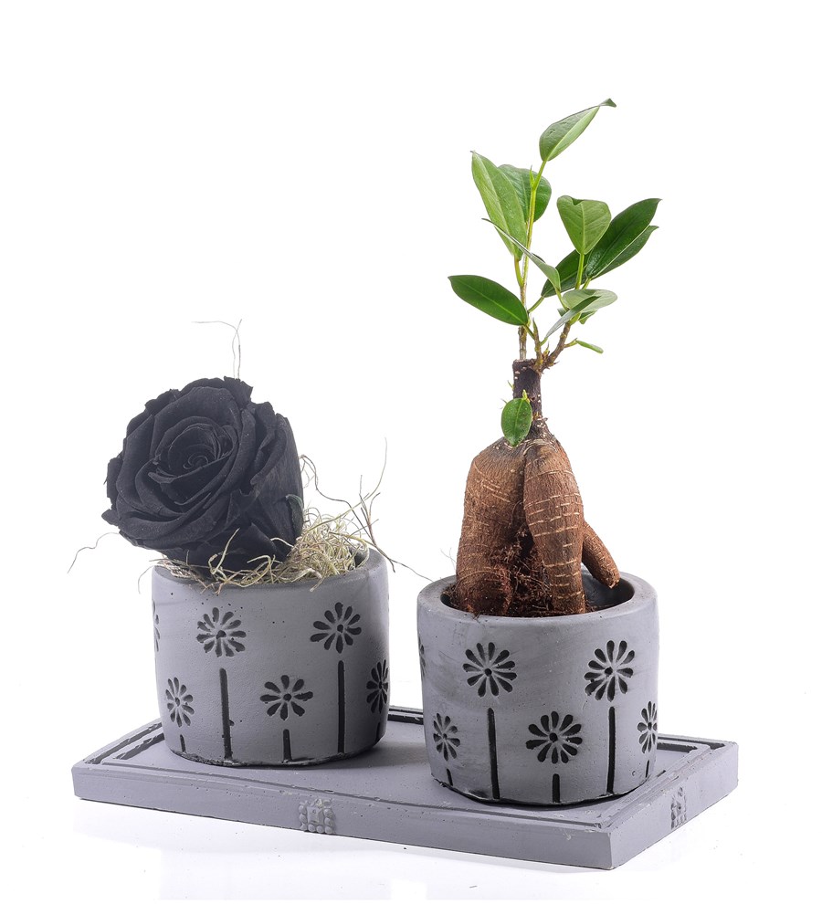 Pure Love Bonsai ve Solmayan Gül Siyah