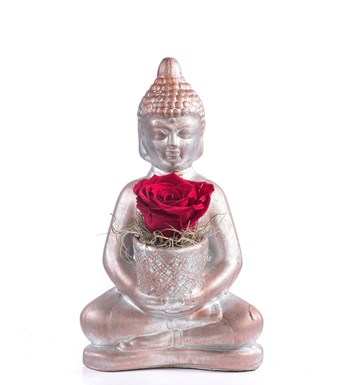 Buddha Saksıda Solmayan Gül Kırmızı 