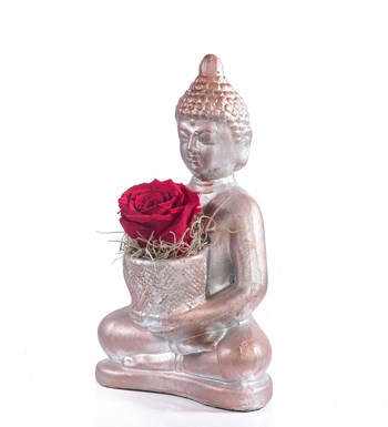 Buddha Saksıda Solmayan Gül Kırmızı 