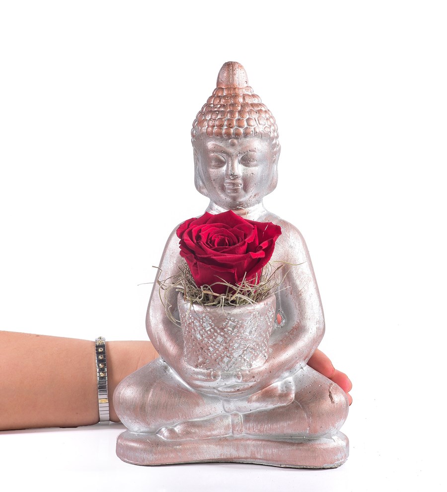 Buddha Saksıda Solmayan Gül Kırmızı 