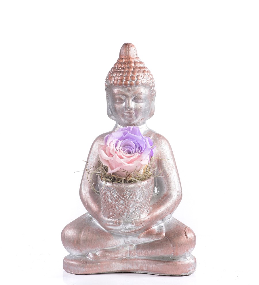 Buddha Saksıda Solmayan Gül Pembe Lila