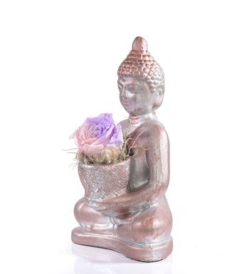 Buddha Saksıda Solmayan Gül Pembe Lila