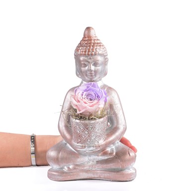 Buddha Saksıda Solmayan Gül Pembe Lila