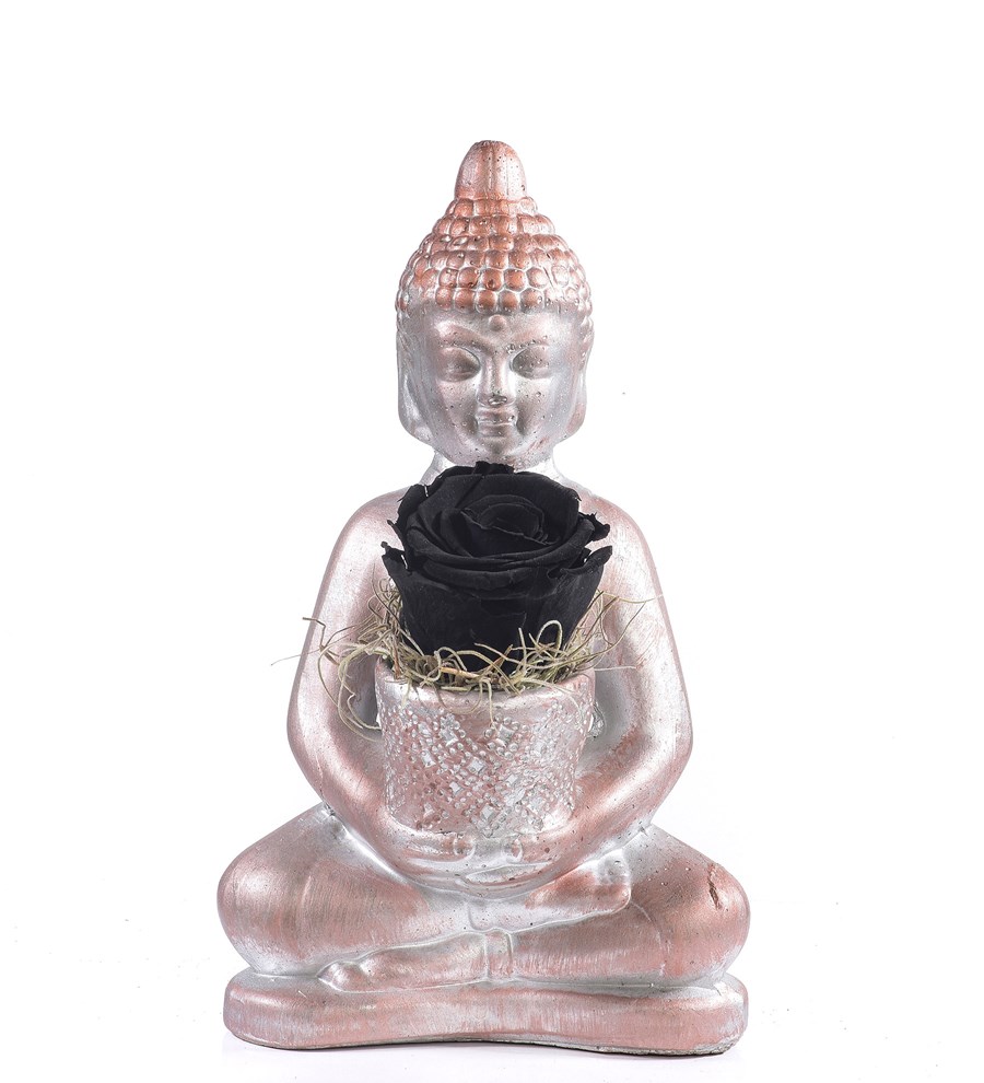 Buddha Saksıda Solmayan Gül Siyah