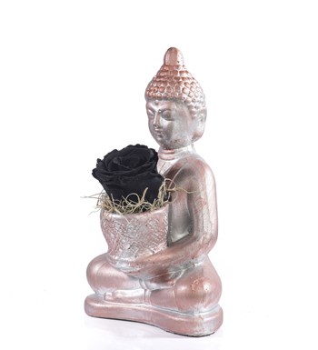 Buddha Saksıda Solmayan Gül Siyah