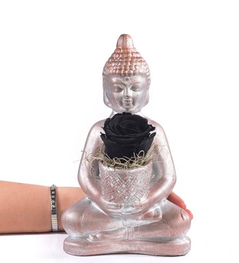 Buddha Saksıda Solmayan Gül Siyah