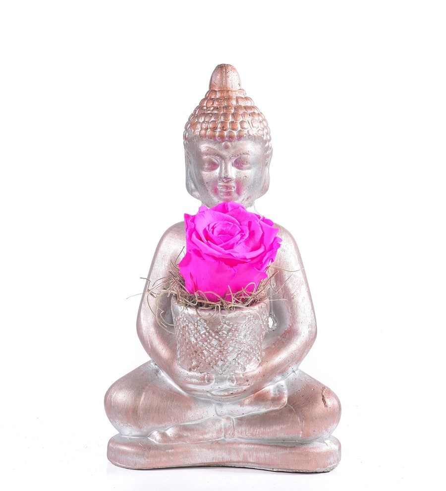 Buddha Saksıda Solmayan Gül Fuşya