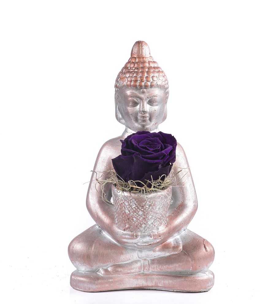 Buddha Saksıda Solmayan Gül Mor