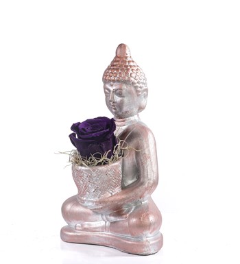 Buddha Saksıda Solmayan Gül Mor