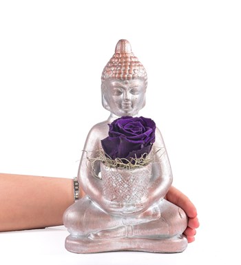 Buddha Saksıda Solmayan Gül Mor