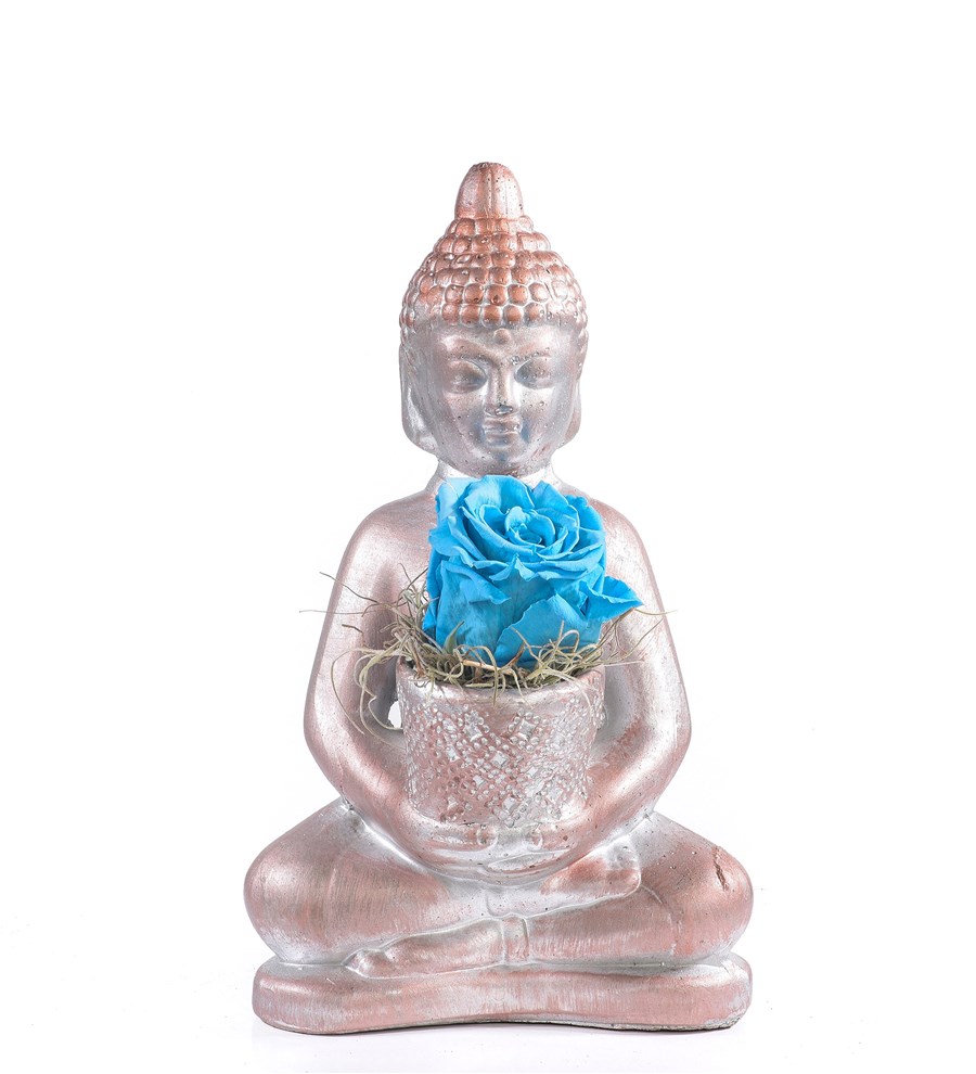 Buddha Saksıda Solmayan Gül Açık Mavi