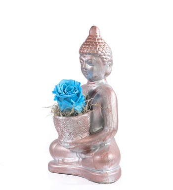 Buddha Saksıda Solmayan Gül Açık Mavi