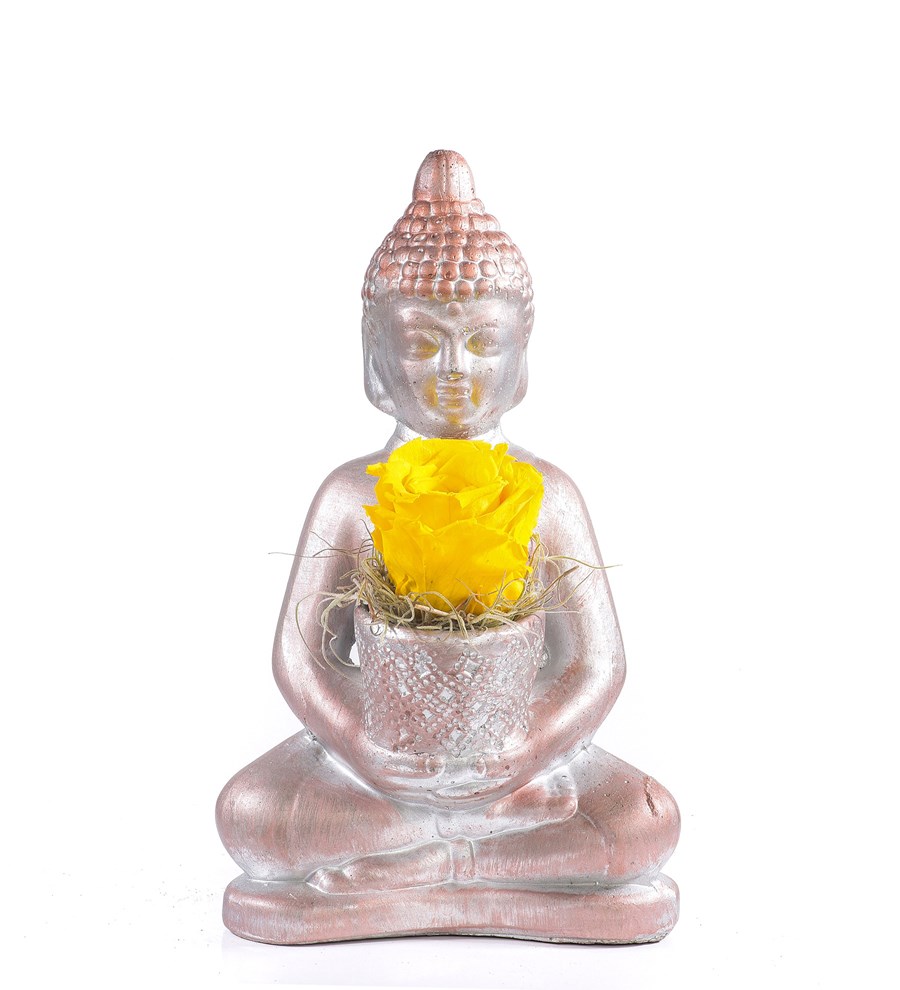 Buddha Saksıda Solmayan Gül Sarı