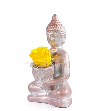 Buddha Saksıda Solmayan Gül Sarı