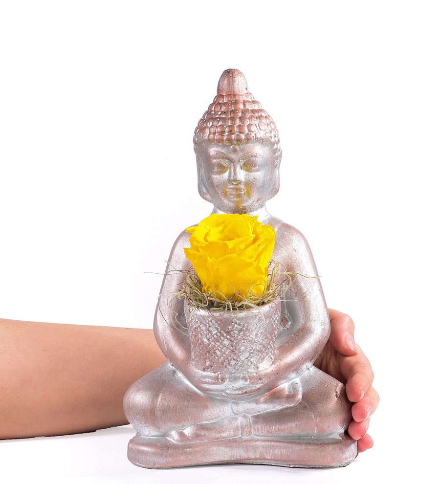 Buddha Saksıda Solmayan Gül Sarı