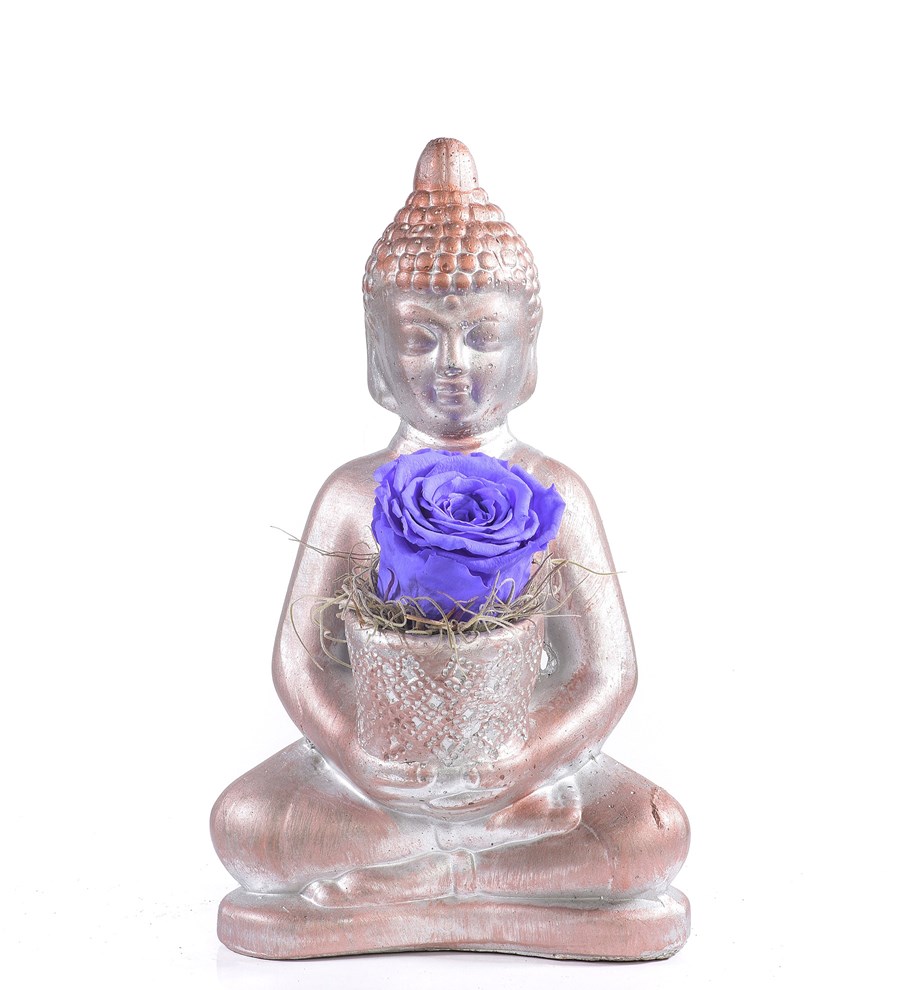 Buddha Saksıda Solmayan Gül Lila