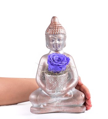 Buddha Saksıda Solmayan Gül Lila