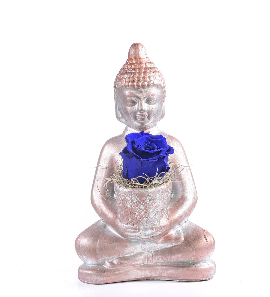 Buddha Saksıda Solmayan Gül Parlament Mavi