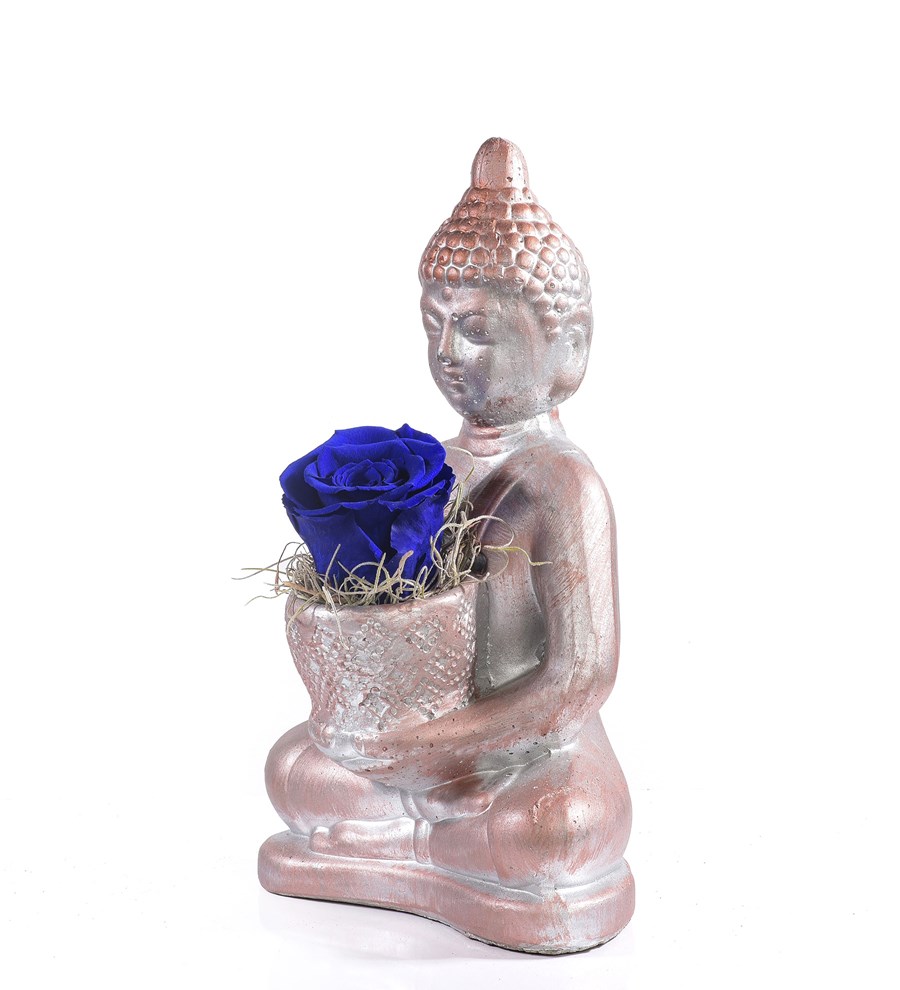 Buddha Saksıda Solmayan Gül Parlament Mavi