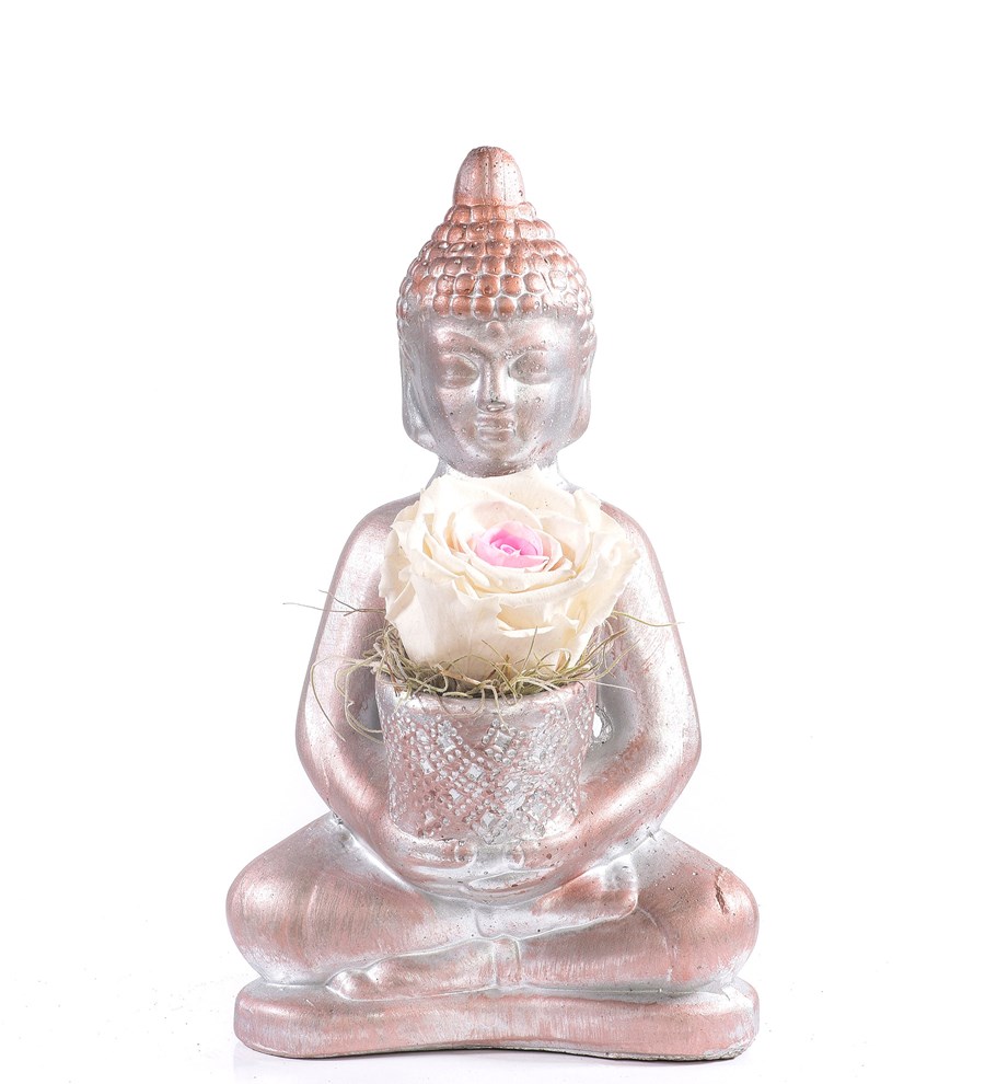 Buddha Saksıda Solmayan Gül Pinky