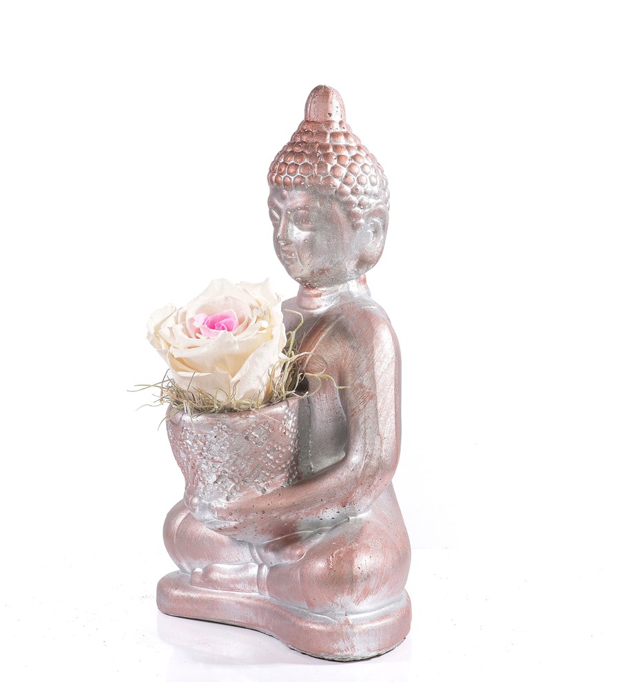 Buddha Saksıda Solmayan Gül Pinky