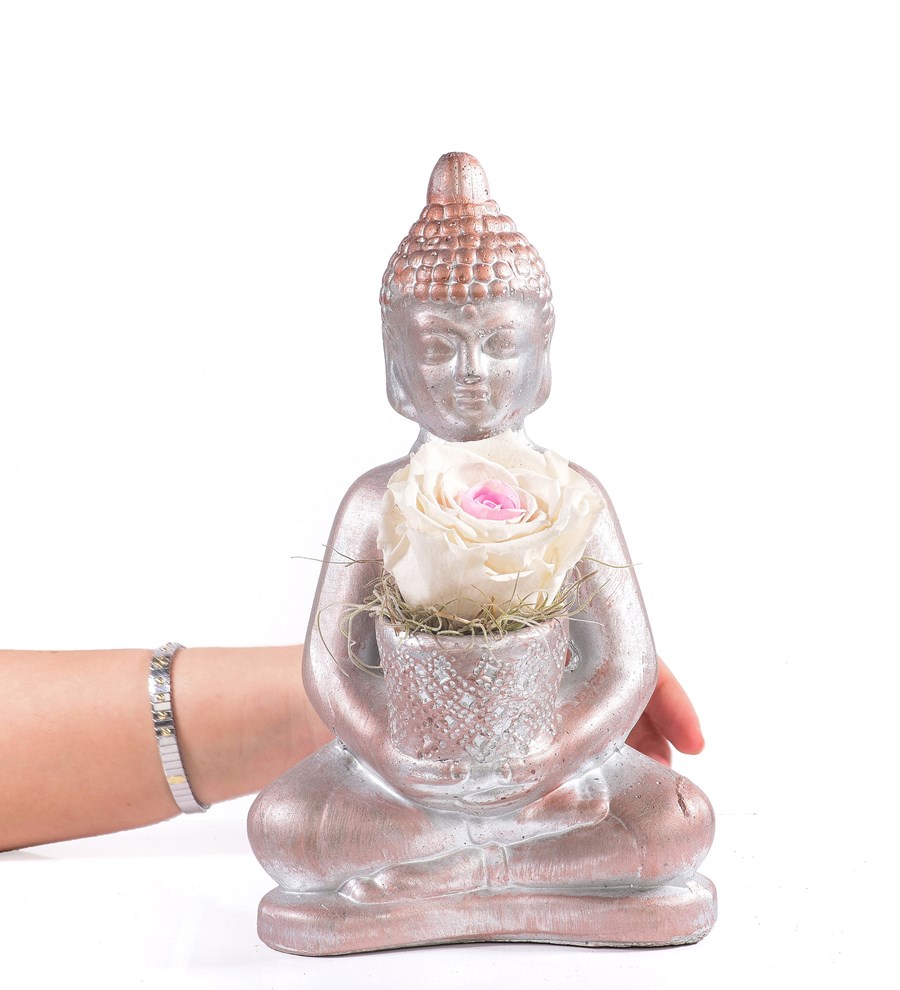 Buddha Saksıda Solmayan Gül Pinky