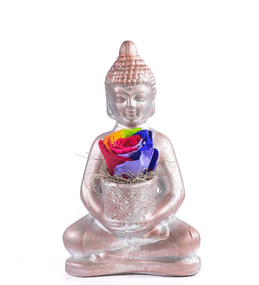 Buddha Saksıda Solmayan Gül Rainbow