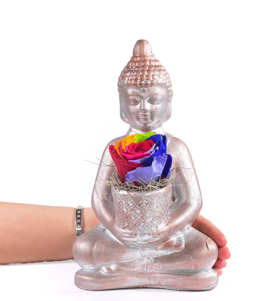 Buddha Saksıda Solmayan Gül Rainbow
