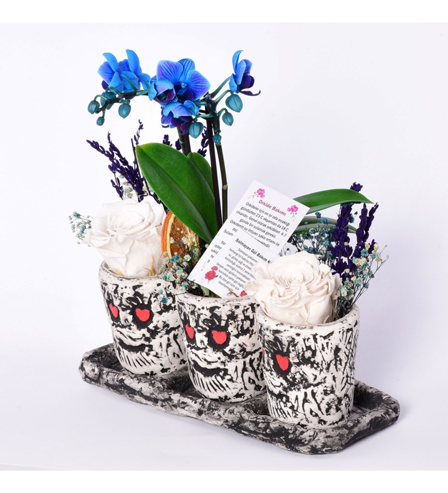 Anahita Serisi Mavi Orkide ve Beyaz Solmayan Güller 