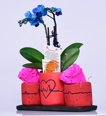Kalp Ritmi Serisi Mini Mavi Orkide ve Solmayan Gül Fuşya