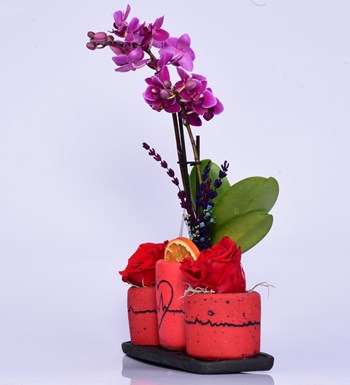 Kalp Ritmi Serisi Mini Mor Orkide ve Solmayan Gül Kırmızı