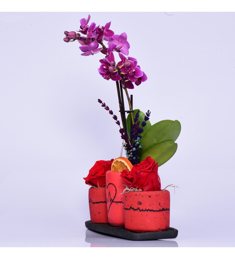 Kalp Ritmi Serisi Mini Mor Orkide ve Solmayan Gül Kırmızı