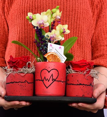 Kalp Ritmi Serisi Mini Sarı Orkide ve Solmayan Gül Kırmızı 