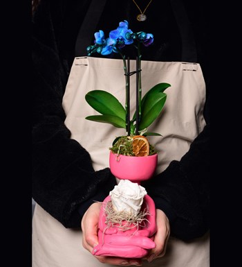 Lisa Saksıda Mavi Orkide ve Beyaz Solmayan Gül 