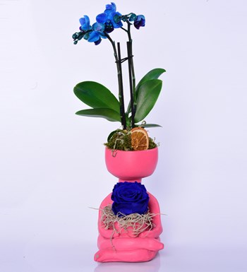 Lisa Saksıda Mavi Orkide ve Parlament Mavisi Solmayan Gül	