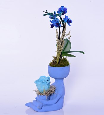 Lisa Saksıda Mavi Orkide ve Solmayan Gül Mavi