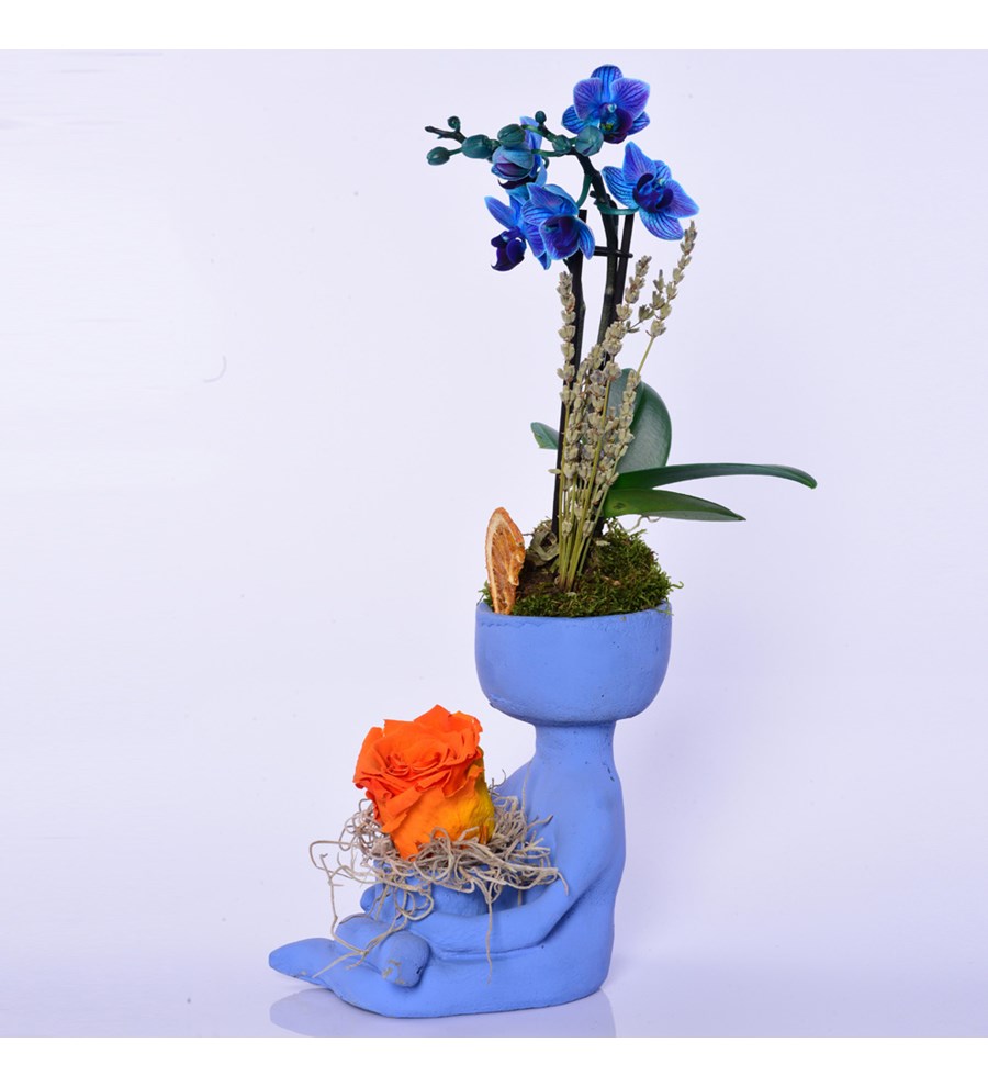 Lisa Saksıda Mavi Orkide ve Solmayan Gül Turuncu