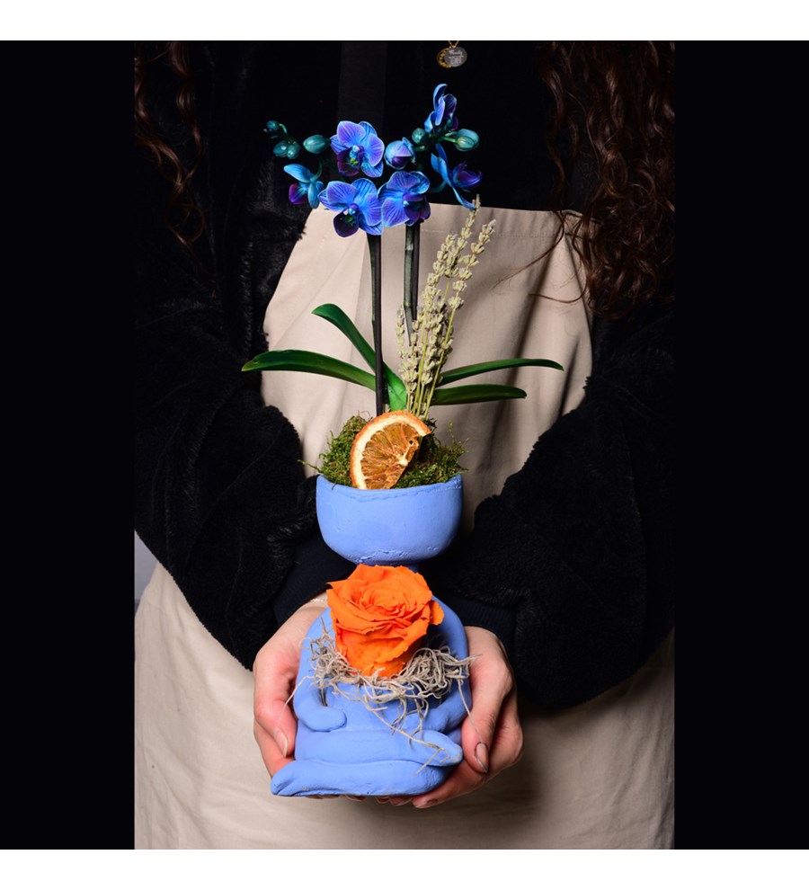 Lisa Saksıda Mavi Orkide ve Solmayan Gül Turuncu