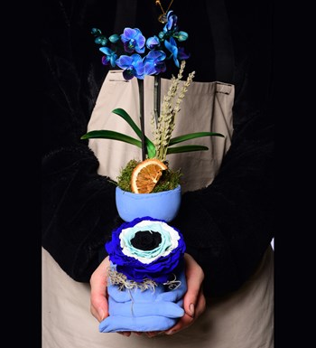 Lisa Saksıda Mavi Orkide ve Solmayan Gül Xxl Nazar Boncuğu 