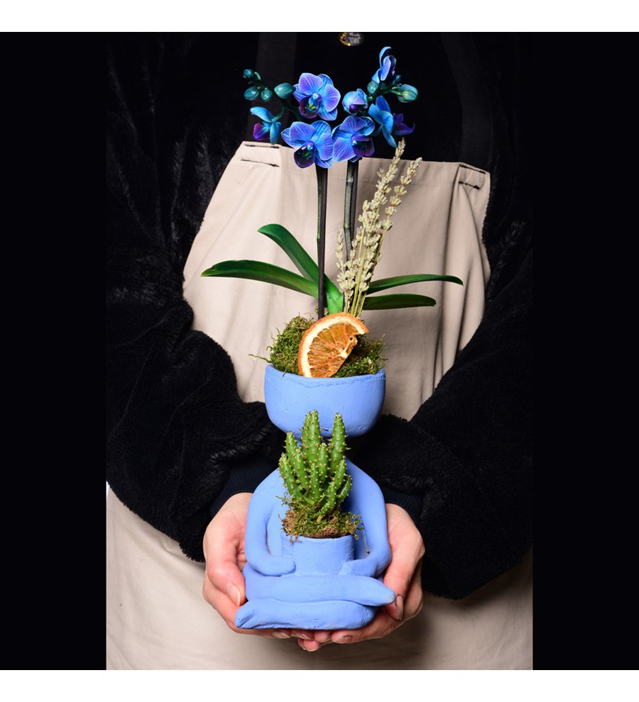 Lisa Saksıda Mavi Orkide ve Kaktüs 