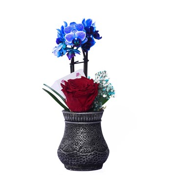 Vase in Ottoman Serisi Mini Mavi Orkide ve Kırmızı Solmayan Gül