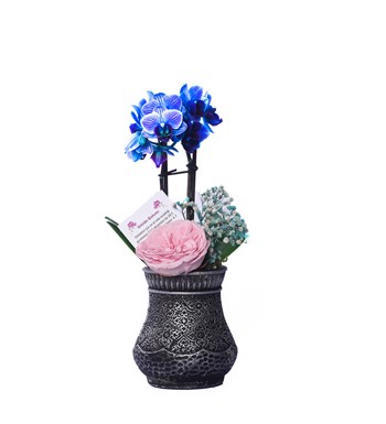 Vase in Ottoman Serisi Mini Mavi Orkide ve Katmerli Pembe Solmayan Gül