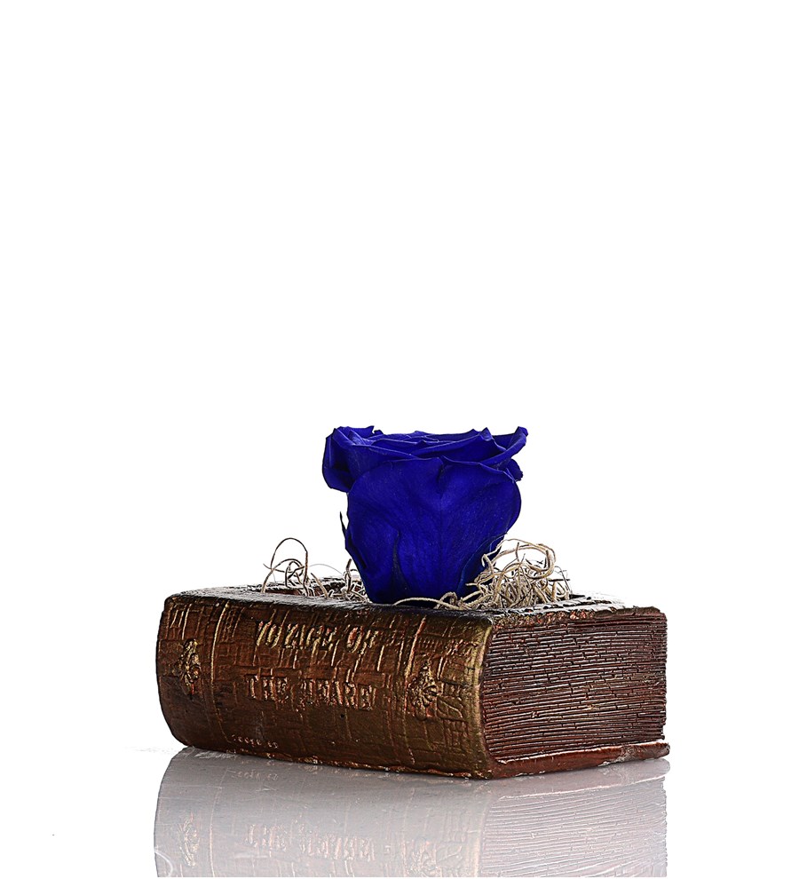 Antik Serisi Kitap Saksıda Solmayan Gül Parlament Mavi