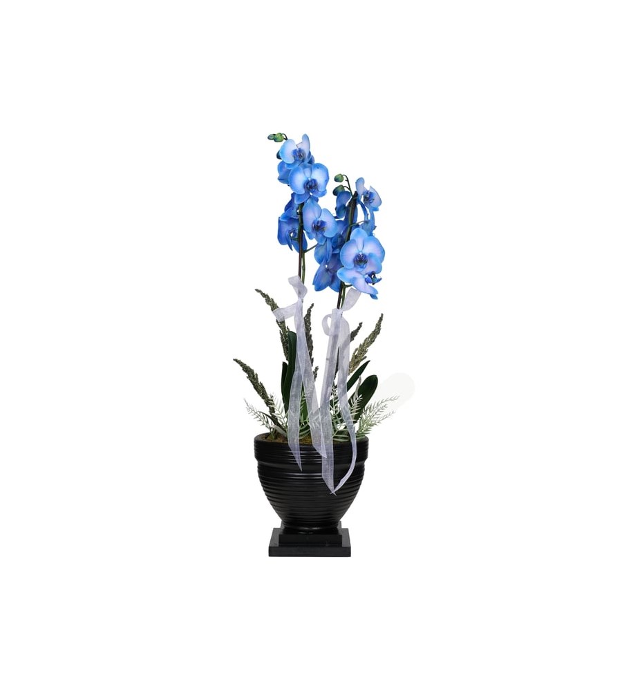 Dekoratif Saksıda Mavi Orkide
