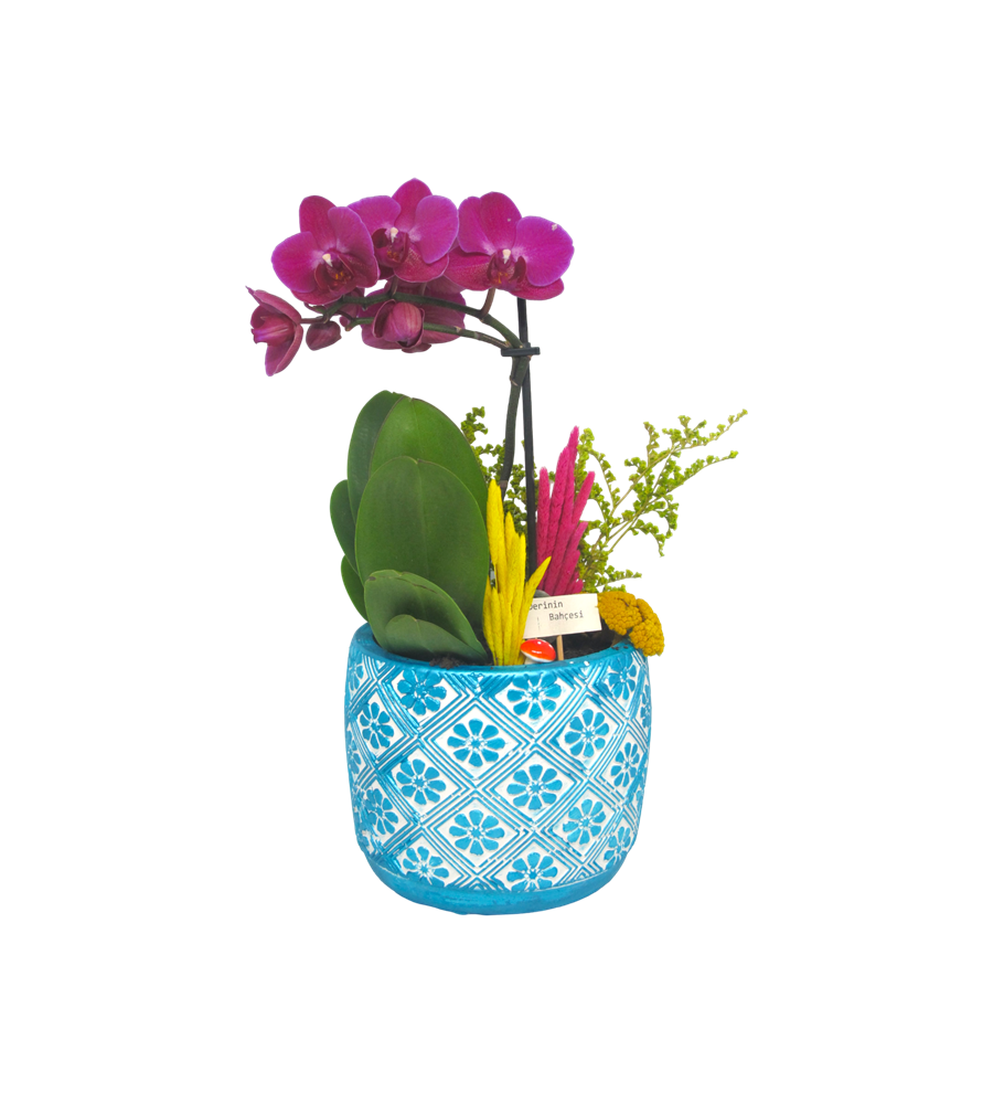Mini Orkide Dekoratif  Turkuaz Seri
